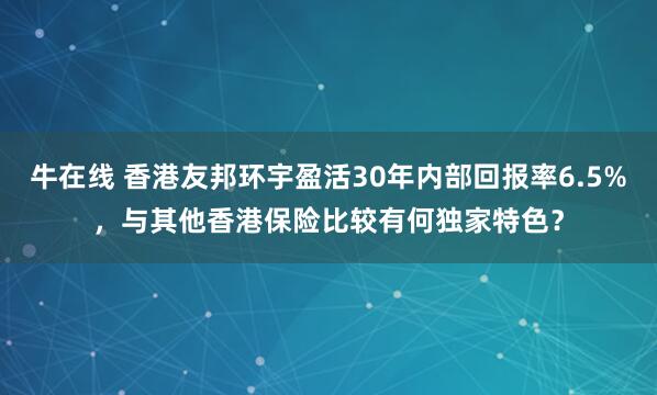 牛在线 香港友邦环宇盈活30年内部回报率6.5%，与其他香港保险比较有何独家特色？
