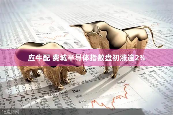 应牛配 费城半导体指数盘初涨逾2%