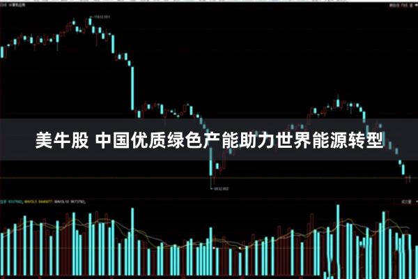 美牛股 中国优质绿色产能助力世界能源转型