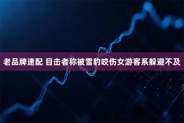 老品牌速配 目击者称被雪豹咬伤女游客系躲避不及