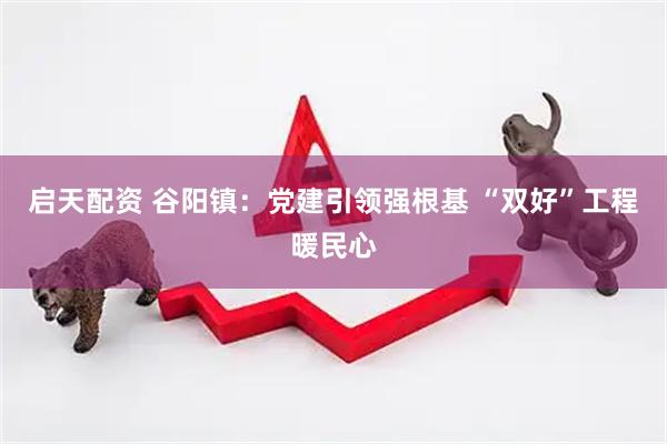 启天配资 谷阳镇：党建引领强根基 “双好”工程暖民心