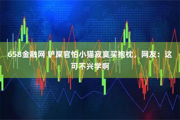 658金融网 铲屎官怕小猫寂寞买抱枕，网友：这可不兴学啊